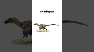 Velociraptor evolv meme dinosour [upl. by Rovelli]