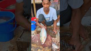 Best Cutting Skills  Big Hilsa Fish Cutting By Expert Fish Cutter 😱😱 shorts [upl. by Khanna]