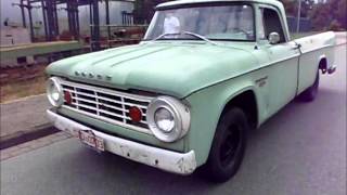 1966 Dodge D100 truck survivor [upl. by Zilevi]