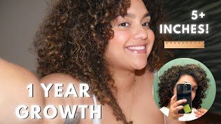 I grew my curls 5 inches in ONE YEAR heres how [upl. by Iveson606]