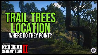 Red Dead Redemption 2 TRAIL TREES Location Indian Markers [upl. by Atikihs]