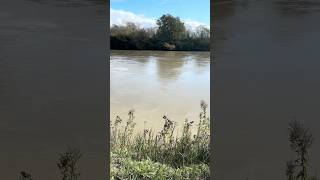 Nooksack River downtown Ferndale WA staying within it’s banks for now… October [upl. by Clerissa456]