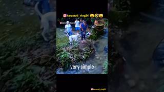 मारा की पटकन उडी🤣😂😀😅 shots viral comedy karamativlog funnyanimals funny [upl. by Formica977]