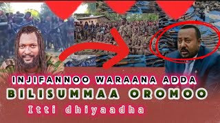 Injifannoo waraana Adda Bilisummaa Oromoo itti dhiyaadhaa [upl. by Anole]