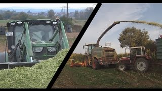 Futter für die Kühe  Maishäckseln mit FENDT KATANA 65  Chopping Maize [upl. by Hcurob]