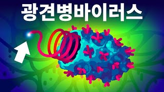 지구에서 가장 치명적인 바이러스  광견병 리사 바이러스 [upl. by Seaden]