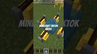 Minecraft tiktok hacks minecraft minecraftpe gaming mcpe [upl. by Teplitz]