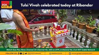 Tulsi Vivah celebrated today at Ribandar [upl. by Shaper]