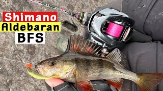 Shimano Aldebaran BFS The Top 3 Features [upl. by Bodrogi]