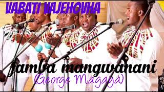 vabati vaJehovhafamba mangwanani [upl. by Okoyk497]