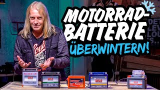 So bringst du DEINE Batterie heil über den WINTER [upl. by Dralliw]