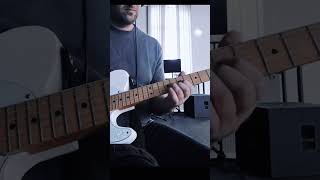 Tonerider Alnico 2 blues pickups tonerider telecaster [upl. by Uuge904]