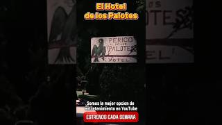 El Hotel de los Palotes Pura diversion cine peliculasmexicanas series [upl. by Pestana]