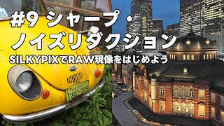 SILKYPIXでRAW現像をはじめよう 9 シャープ・ノイズリダクション [upl. by Eecak]