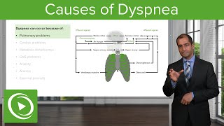 Causes of Dyspnea – Pulmonary Pathology  Lecturio [upl. by Nisotawulo]