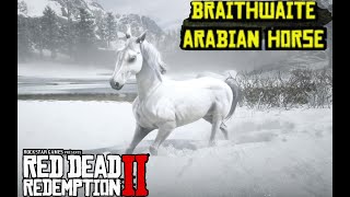 You Wont Believe the RAREST Horse Breed in Red Dead Redemption 2🐎 [upl. by Attenahs]