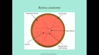 Retinopathy of Prematurity  CRASH Medical Review Series [upl. by Lorene498]