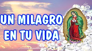 👉 REZA ESTA ORACIÓN A LA VIRGEN DE GUADALUPE 🙏 ¡UN MILAGRO LLEGARÁ A TU VIDA 💖🌹 [upl. by Drofiar416]