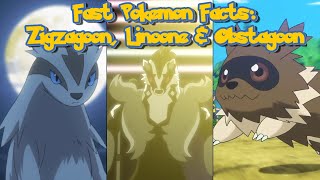 Fast Pokemon Facts Zigzagoon Linoone and Obstagoon [upl. by Olive]