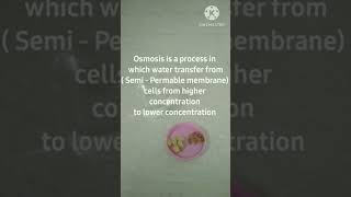 Osmosis Experiment  Class 9th  Biology Ch 5 experiment biology Hypertonic Solution [upl. by Etnoled]