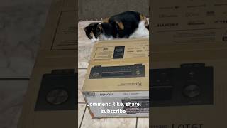 Unboxing Costco Denon AVRS760H 72Channel Home Theater AV Receiver 8K Video 4K120 NSFW ASMR [upl. by Rebecka]