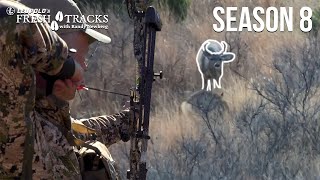 Bowhunting DESERT BUCKS  Arizona Coues amp Javelina Amazon Episode [upl. by Raffo]