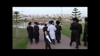 UltraOrthodox Jewish wedding in Israel Haredi Jews Haredim Orthodox Judaism [upl. by Baudin]