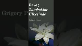 BEYAZ ZAMBAKLAR ÜLKESİNDE 3 BÖLÜM İKUYNEN TAYSTELU SONSUZ MÜCADELE SESLİ KİTAP [upl. by Belayneh]