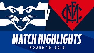 Geelong v Melbourne Match Highlights  Round 18 2018  AFL [upl. by Airtemad435]