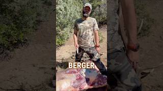 Berger Performance on BIG BULL ELK Shorts elk elkHunting [upl. by Arytas701]