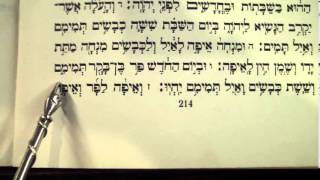 Haftorah Haftarah Parsha Hachodesh Rabbi Weisblum קריאת הפטרה שבת החודש [upl. by Ettena712]