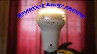 Smartest Light AroundSengled Pulse Solo Review [upl. by Nonnahsed]