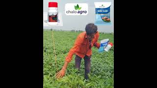 Chalo Agro  Bazuka  Mahaclean [upl. by Suk660]