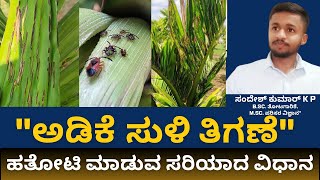 How to control Spindle bug in Arecanut  Kannada [upl. by Enitsirt]