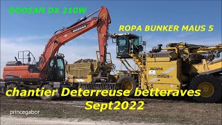 CHANTIER DÉTERREUSE BETTERAVES ROPA BUNKER MAUS 5 DOOSAN DX210W FONTAINE LES GRES AUBE 2022 [upl. by Ained]