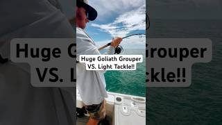 Huge Goliath Grouper vs light tackle newvideo fishing bigfish subscribe fishingtechniques [upl. by Asereht556]