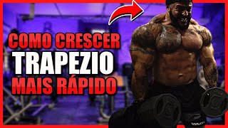 COMO CRESCER TRAPÉZIO MAIS RÁPIDO TREINO COMPLETO [upl. by O'Connor557]