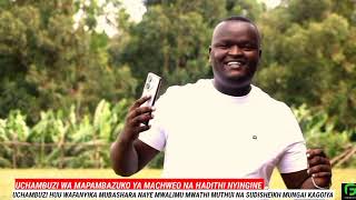 Uchambuzi wa Mapambazuko ya Machweo na Hadithi NyingineMapambazuko ya Machweo full video Set Books [upl. by Ahseet548]