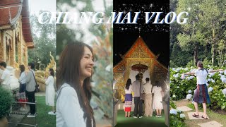 MINTRANCH VLOG Chiangmai 2024 mintranch 3v [upl. by Queen]