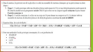 2 BAC  Résumé du 1 chapitre  la libération de lénergie emmagasinée dans la matière organique [upl. by Shorter]