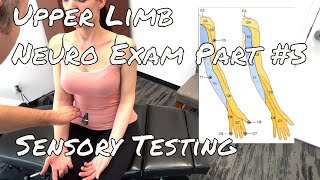 Upper Limb Neuro Exam  Part 3 Deep Tendon Reflexes Sensory [upl. by Im326]