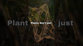 Botany for Beginners The Magic of Plant Life [upl. by Aivatnohs]