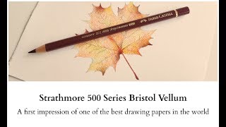 Strathmore 500 Series Bristol Vellum  A first impression [upl. by Higinbotham]