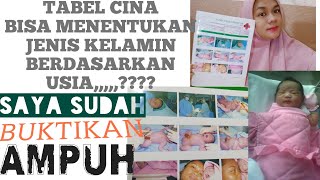 TABEL CINA MENENTUKAN JENIS KELAMIN DAN USIA  PROGRAM ANAK PEREMPUAN PART 1 [upl. by Ennahgem381]