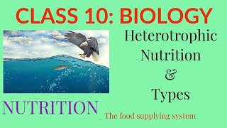 Class 10 BiologyNutritionHeterotrophic NutritionTypes [upl. by Salisbarry]