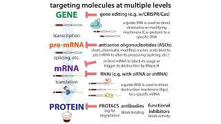 Techniques for targeting specific DNA RNA and protein molecules an overview [upl. by Lukasz]