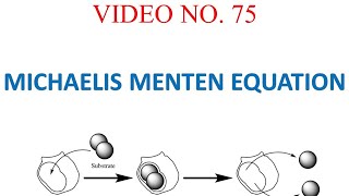 Michaelis Menten Equation step by step derivation with Enzyme Catalysis [upl. by Vtarj816]