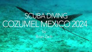 Scuba Diving Cozumel Mexico 2024 [upl. by Etirugram87]