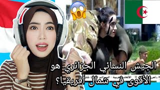 Indonesian Reacts to Algeria Military Parade 2023 🇩🇿 😱 [upl. by Okechuku295]