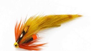 Salmon fly tying lesson step by step how to tie the  Beiss fly [upl. by Annaeel]